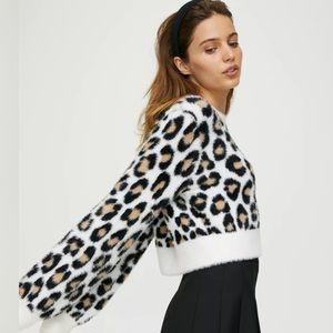 Sunday Best kitten sweater by Aritzia XXS